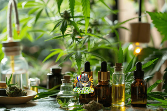 Découverte des produits contenant du CBD : une palette de choix pour tous les besoins