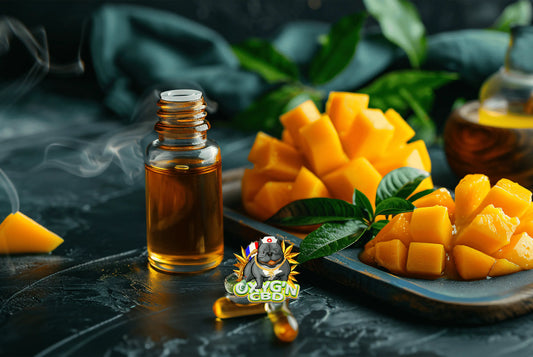 Fleur mango kush CBD : une invitation aux saveurs tropicales et à la relaxation