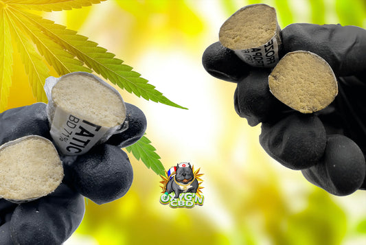 Le Hash 3X : Une pureté réinventée