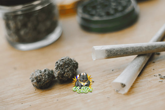 Pre-roll CBD Amnesia : saveurs uniques et détente assurée