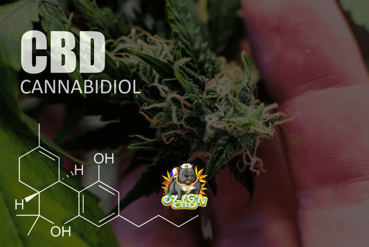 Qu’est-ce que le cbd enrichi ? Comprendre cette innovation du cannabidiol