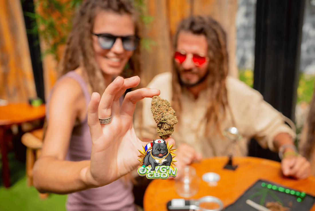 Quelle est la différence entre le chanvre et le cannabis ?