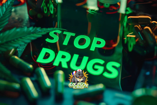 Remplacer le cannabis par le CBD : une alternative saine
