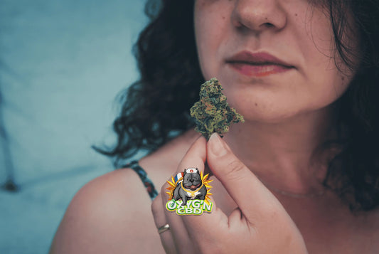 Tout savoir sur la fleur de cbd og kush : une variété premium aux effets relaxants