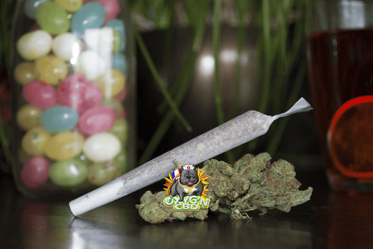 Tout savoir sur les pré-rolls cbd pas cher : astuces, choix et avantages