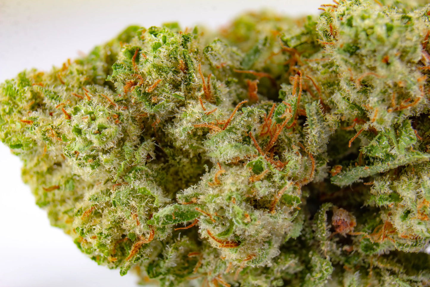 Fleur Girl Scout Cookie CBD