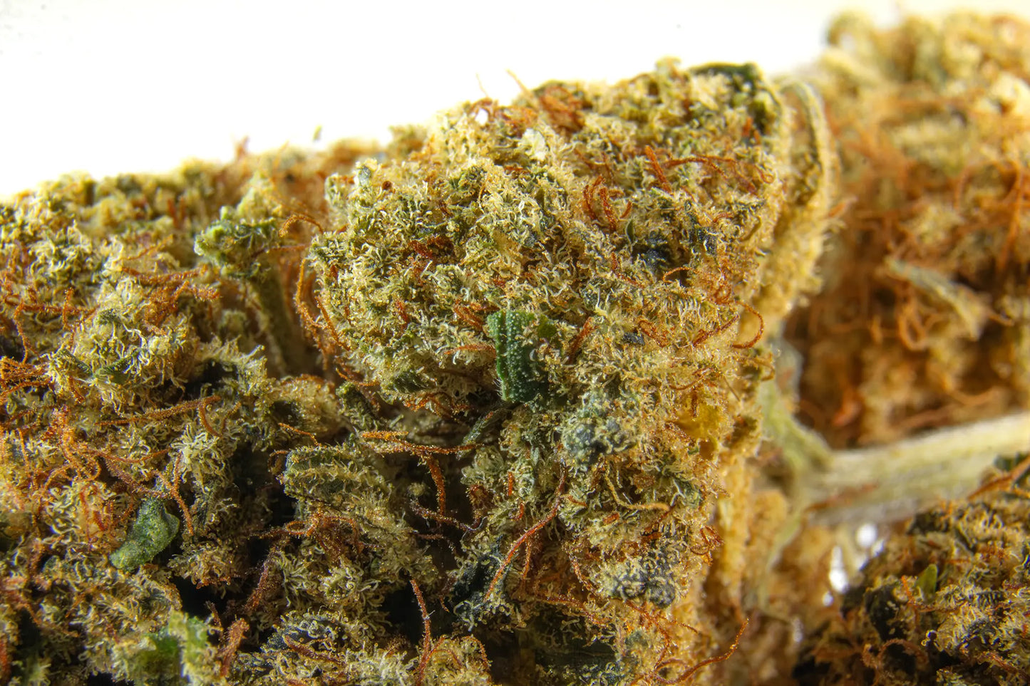 Fleur Mango Kush CBD