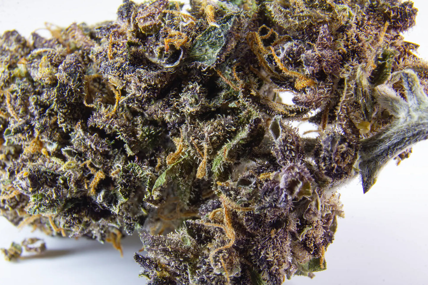 Fleur Purple Haze CBD