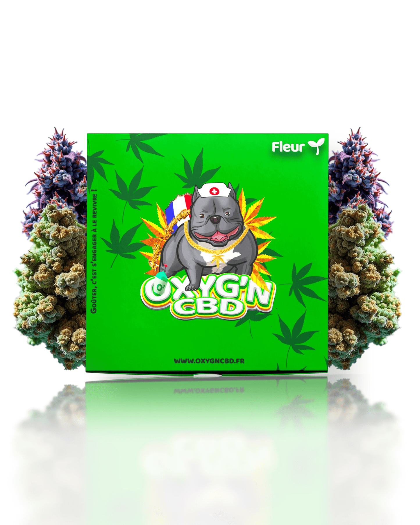 Coffret - Fleurs 🌱 - OXYG'N