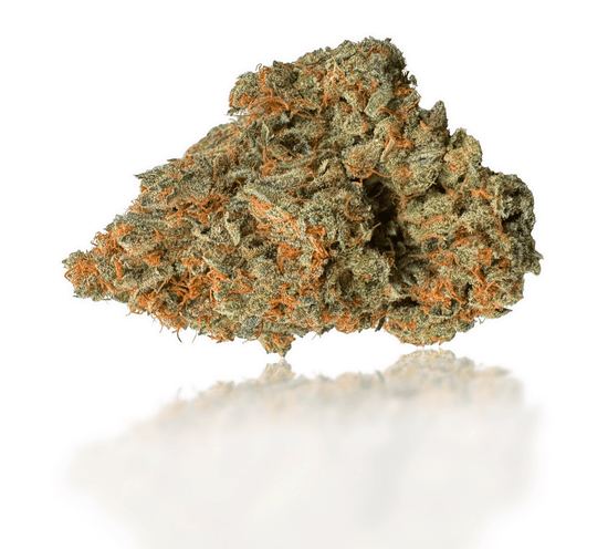 une fleurs de cbd c'est quoi ? fleurs de cbd oxyg'n cbd white widow cali intérieure