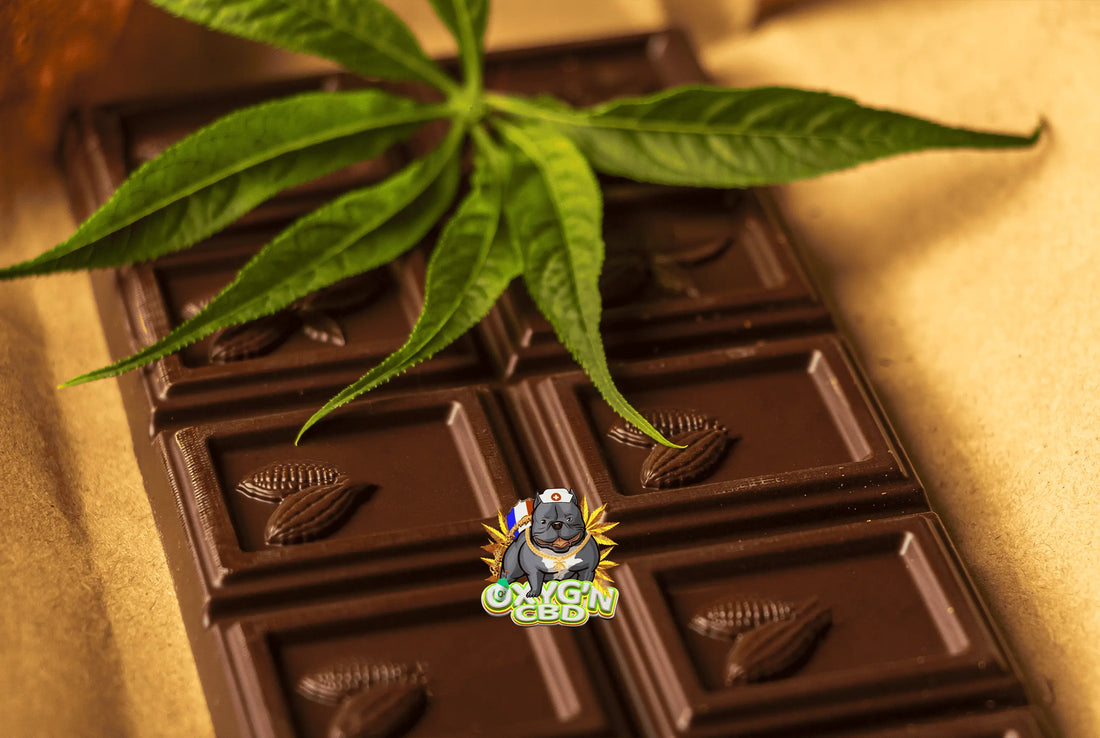 Achat résine cbd : conseils et informations pour choisir une qualité premium