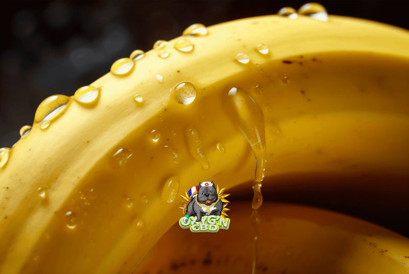 Banana kush CBD : découvrez une fleur aux saveurs sucrées pour des moments de détente