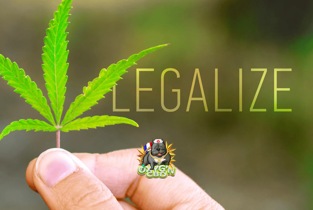 CBD est-il légal en France en 2026 ? Panorama complet de la réglementation