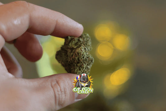 C’est quoi le cbd exactement ?