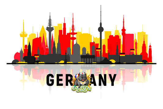 Cbd en allemagne : législation, tendances et perspectives