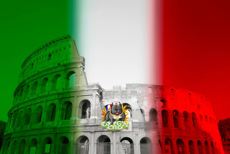 Cbd en italie : législation, tendances et réalités du marché
