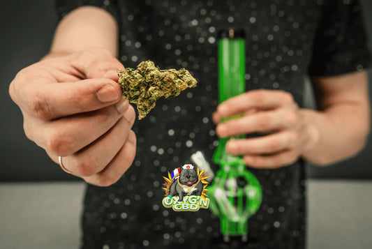 Cbd pas cher : comment profiter de produits de qualité à petits prix
