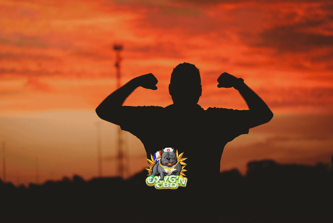 Comment acheter du cbd fort en toute confiance et faire le bon choix