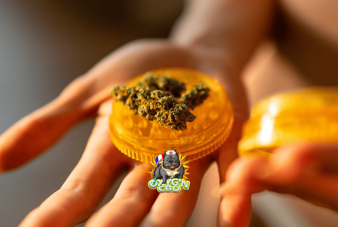 Comment consommer la fleur de cbd : toutes les méthodes à découvrir