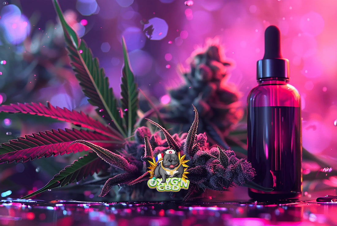 Comparatif : fleurs, résines et vapes CBD, comment s’y retrouver ?