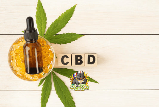Comprendre le prix du CBD : tout ce qu’il faut savoir pour acheter au meilleur tarif