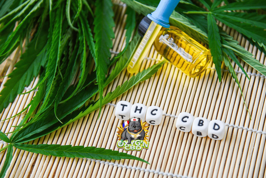 Delta 9 thc : comprendre ce cannabinoïde et ses effets sur l’organisme