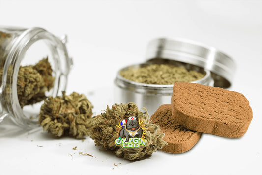 Différence entre la Fleur et la Résine de CBD : Comparatif