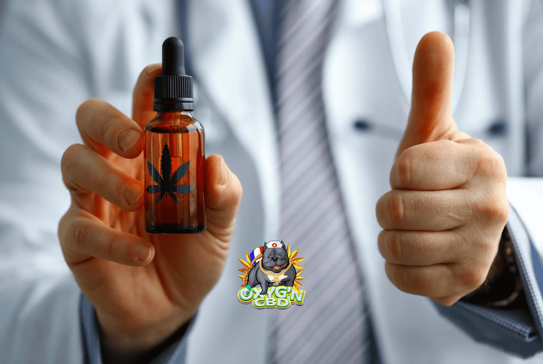 Différences entre cannabinoïdes et terpènes : comprendre leur rôle dans le cannabis