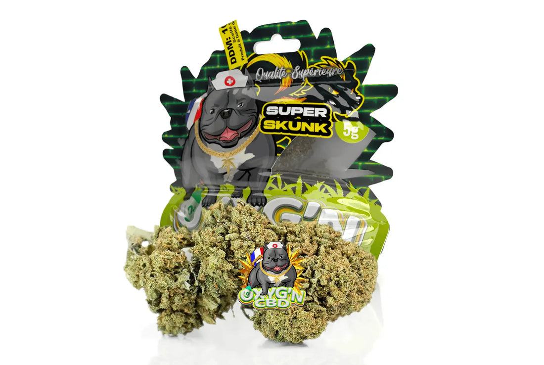Fleur Super Skunk CBD : une référence des fleurs de cannabis aux saveurs uniques