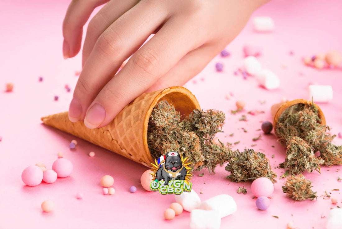 Fleur cbd gelato : une variété aux arômes fruités et aux effets relaxants