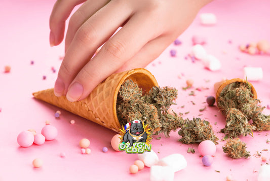 Fleur cbd gelato : une variété aux arômes fruités et aux effets relaxants