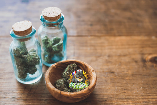 Fleur de CBD : taux, puissance et critères pour bien choisir