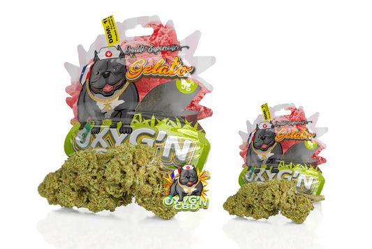 Fleur gelato CBD : une invitation à la détente aux arômes gourmands