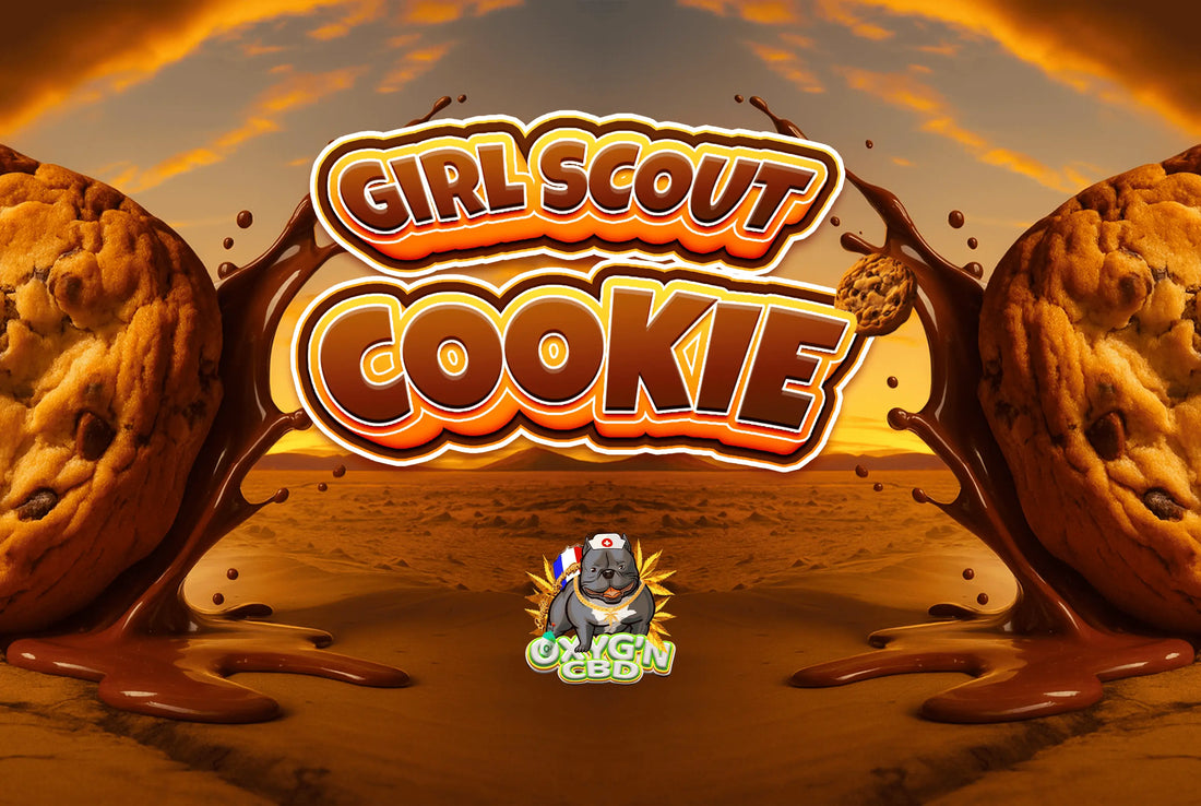 Fleur girl scout cookies cbd : un concentré d’arômes pour une expérience unique