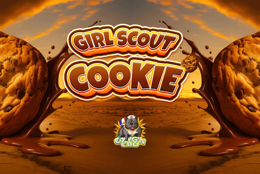 Fleur girl scout cookies cbd : un concentré d’arômes pour une expérience unique