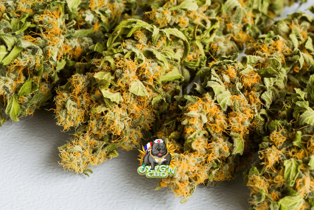 Fleurs CBD : livraison rapide et discrète partout en France