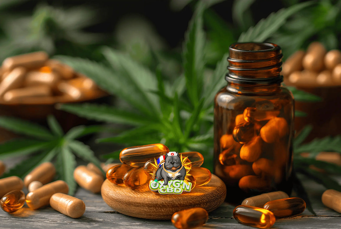 Gélule cannabidiol : tout savoir sur les gélules de cbd et leurs bienfaits
