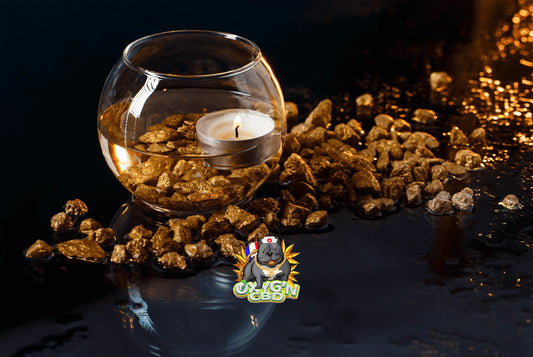 Gold rock cbd : qu’est-ce que c’est et pourquoi cette fleur est-elle dorée ?