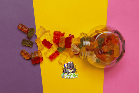 Gummies : tout comprendre sur ces bonbons gélifiés nouvelle génération