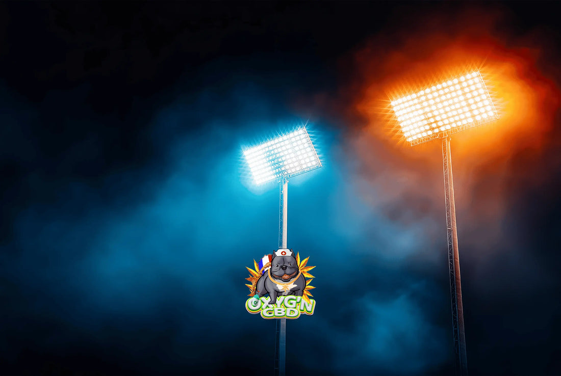 Indoor led ou hps ? Le match des éclairages pour la culture du cannabis en intérieur