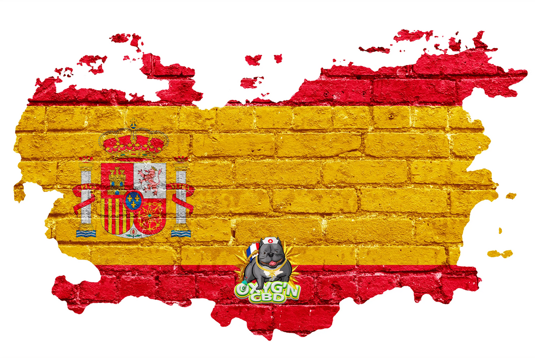 Le cbd en Espagne : comprendre la législation et les tendances du marché