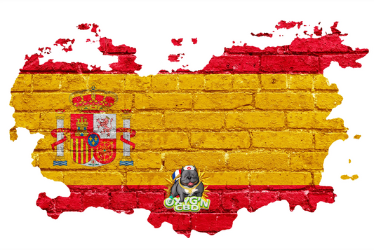 Le cbd en Espagne : comprendre la législation et les tendances du marché