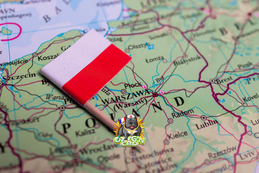 Le cbd en Pologne : marché, réglementation et perspectives