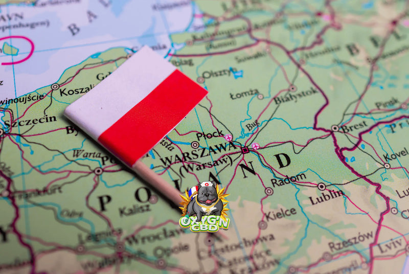 Le cbd en Pologne : marché, réglementation et perspectives