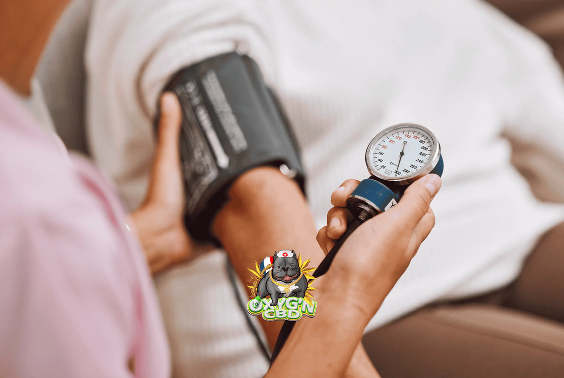 Le cbd et hypertension : ce que disent les retours consommateurs