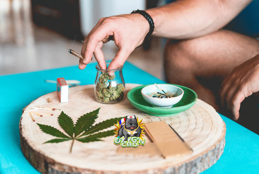 Le cbd expire-t-il ? Tout savoir sur la durée de conservation et la péremption des produits au CBD