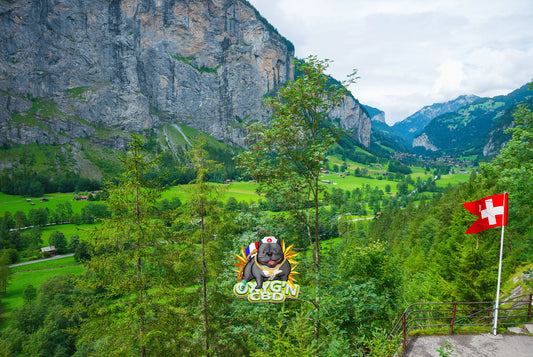 Légalité, tendances et spécificités du cbd en suisse