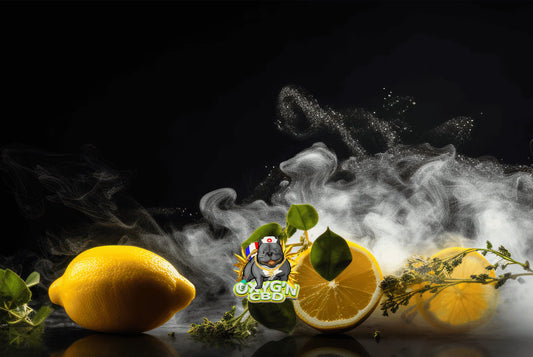 Lemon haze : une variété de cannabis aux saveurs d’agrumes qui séduit amateurs et connaisseurs