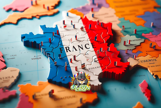 Les régions françaises qui produisent le meilleur cbd