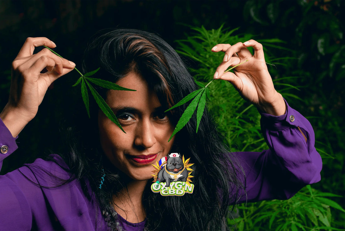 Les secrets du cbd qui défonce : découvrez ses effets surprenants